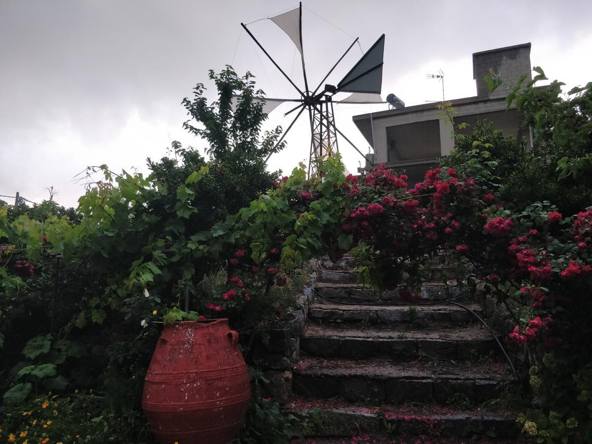 Dionysus Lasithi Plateau Magoulás Zewnętrze zdjęcie
